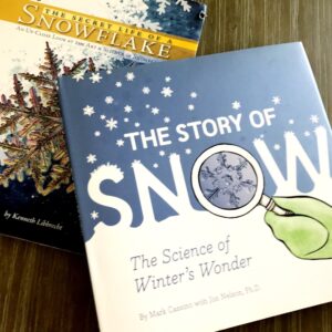 the story of snow
