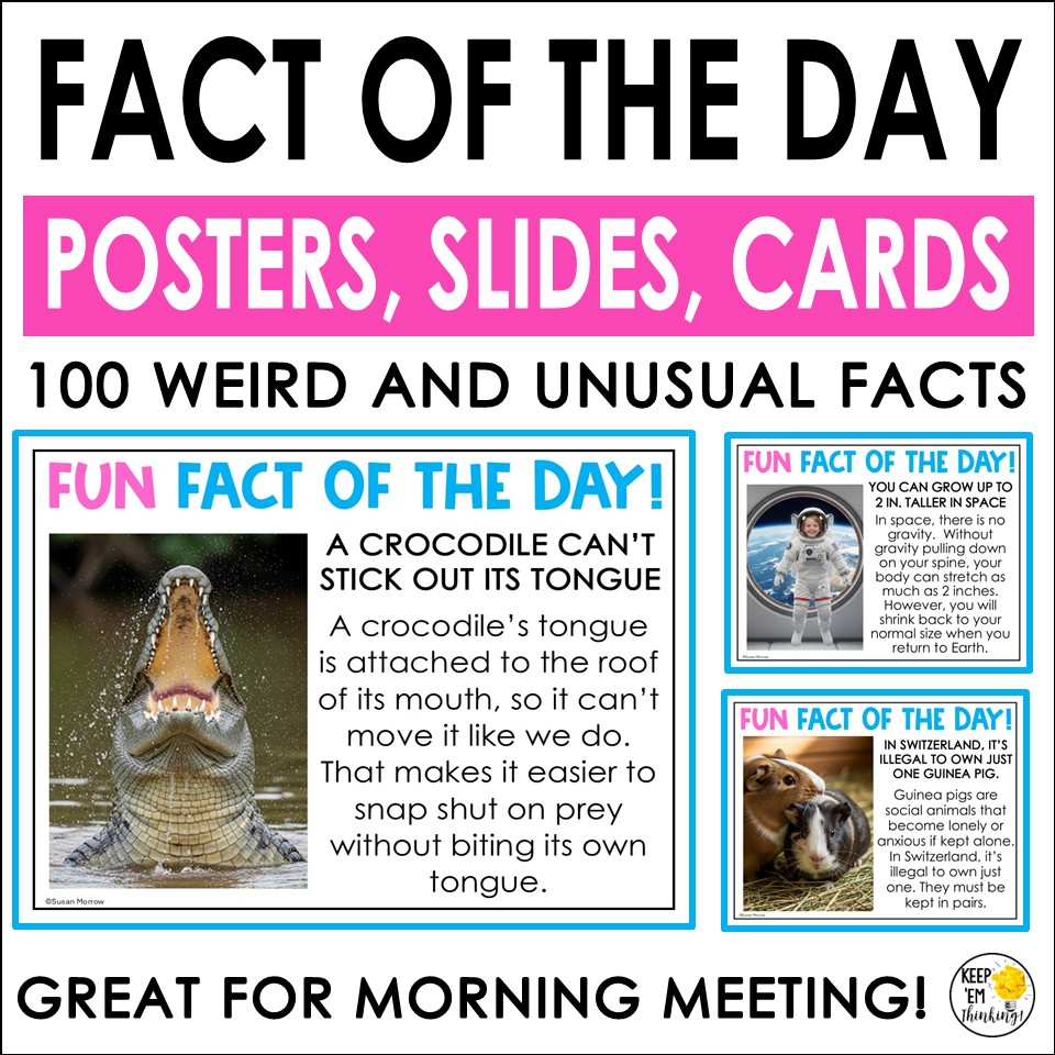 FUN.FACT .OF .THE .DAY